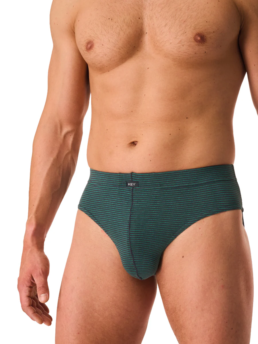 Klasyczne slipy w drobne paski - 2-pack (do 4XL) - Image 3