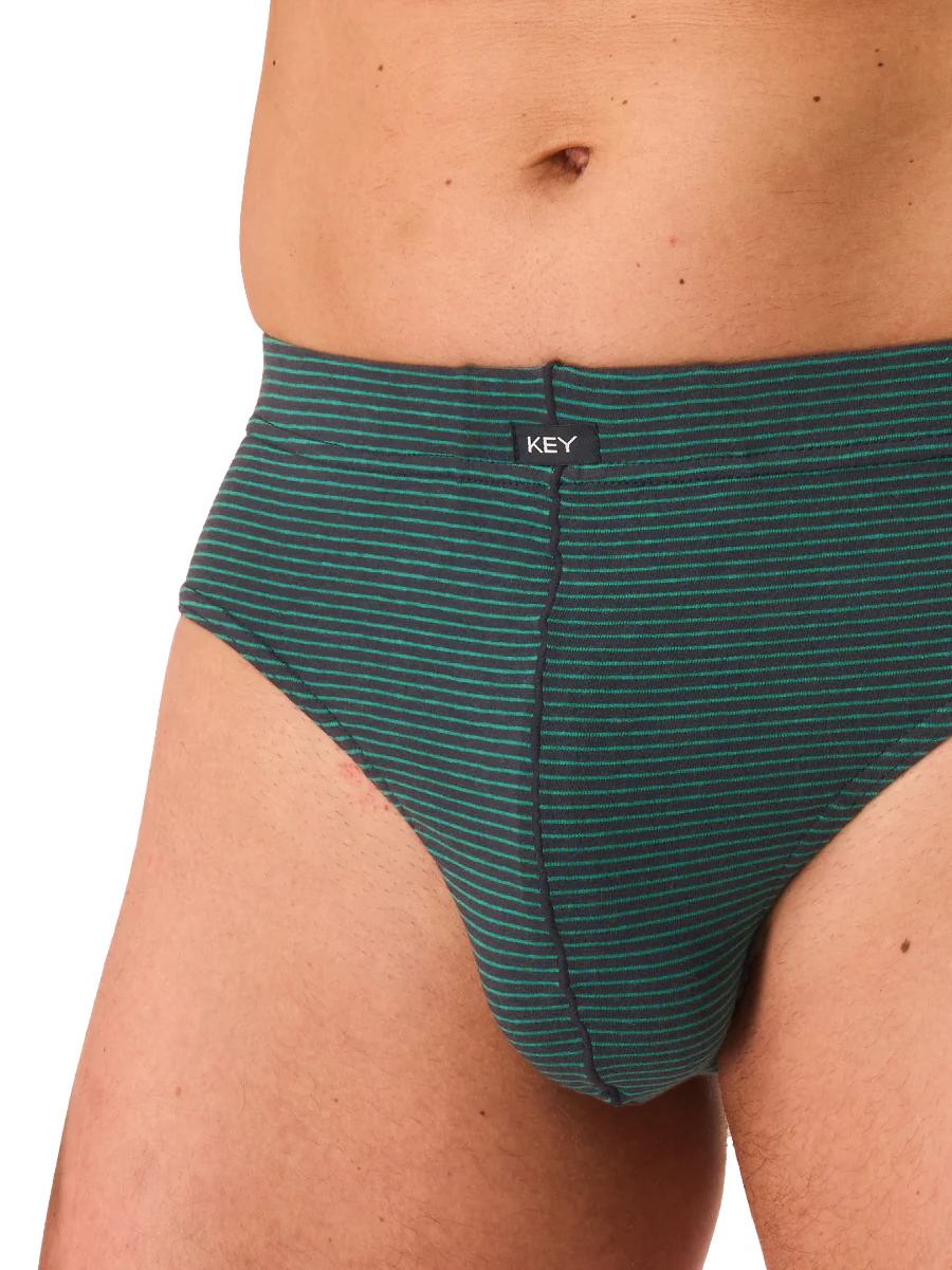 Klasyczne slipy w drobne paski - 2-pack (do 4XL) - Image 4